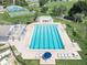 Aerial view of the community pool area with lounge chairs and palm trees at 4722 Millpond Ln, Tampa, FL 33624