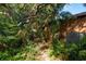 Lush landscaping and greenery surrounding the home's exterior at 50 Pembrook Cir, Palm Harbor, FL 34683
