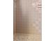 Tiled shower and floor at 5302 S Himes Ave, Tampa, FL 33611