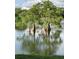Lake view featuring cypress trees emerging from the water at 6345 Dartmouth N Ave, St Petersburg, FL 33710