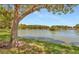 Scenic view of the lake and trees with an expanse of lush green grass at 6345 Dartmouth N Ave, St Petersburg, FL 33710