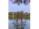Picturesque lake view with trees, birds, and a vibrant reflection on the water at 6345 Dartmouth N Ave, St Petersburg, FL 33710