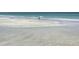 Seabirds wade in the shallow waters of this tranquil beach scene at 1460 Gulf Blvd # 509, Clearwater Beach, FL 33767
