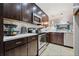 Stylish kitchen with stainless steel appliances, dark cabinets, and ample counter space at 14910 Par Club Cir, Tampa, FL 33618
