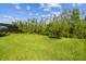 Expansive backyard lawn surrounded by mature trees and landscaping, perfect for outdoor activities at 29356 Ginnetto Dr, Wesley Chapel, FL 33543