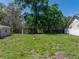 Large backyard featuring privacy fence and shade trees at 34477 Poinsettia Pl, Dade City, FL 33523