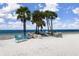 Secluded beach with shady palm trees, white sand, and turquoise Adirondack chairs at 3506 Seaway Dr, New Port Richey, FL 34652