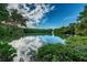 Calm waterfront scene with lush greenery and reflected sky, capturing nature's peaceful beauty at 7050 Sunset S Dr # 912, South Pasadena, FL 33707
