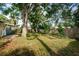 Lush backyard with a mix of grass and mature trees, partially fenced at 9101 86Th Ave, Seminole, FL 33777