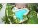 Aerial view of the community pool features ample lounge chairs and lush palm trees for a resort-like feel at 10425 Yellow Spice Ct, Riverview, FL 33578