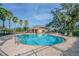 Community pool featuring clear blue water, lounge chairs, and lush landscaping with mature trees and palm trees at 10425 Yellow Spice Ct, Riverview, FL 33578
