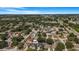 An aerial view of a residential neighborhood, showcasing the homes and surrounding landscape at 13215 Beechberry Dr, Riverview, FL 33579