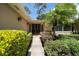 Inviting front entrance with a beautiful garden and mature palm tree at 1431 Normandy Ln, Palm Harbor, FL 34683