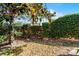 Beautiful backyard with flourishing greenery and trees, offering a serene and private outdoor space at 1601 Fluorshire Dr, Brandon, FL 33511