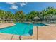 Community swimming pool, surrounded by palm trees and lounge chairs for relaxing at 269 Madeira Cir, Tierra Verde, FL 33715
