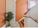 Staircase with wooden steps, contrasted against white wall and decorative plant at 3261 Haviland Ct # 303, Palm Harbor, FL 34684
