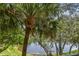Scenic view from a screened balcony overlooking a serene lake surrounded by lush palm trees and greenery at 3261 Haviland Ct # 303, Palm Harbor, FL 34684