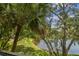 Scenic water view from the property framed by lush greenery and mature trees at 3261 Haviland Ct # 303, Palm Harbor, FL 34684