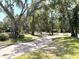 Scenic street view with mature trees lining the road and a white fence creating privacy at 7939 Pine Dr # 7939, Temple Terrace, FL 33637