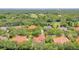 Scenic aerial view of a neighborhood featuring lush greenery, mature trees, and red-tiled rooftops at 8907 Magnolia Chase Cirs, Tampa, FL 33647
