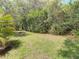 Secluded backyard showcasing a serene green space bordered by dense trees and foliage at 8907 Magnolia Chase Cirs, Tampa, FL 33647