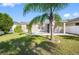 A backyard featuring well-maintained grass, a palm tree, and a screened-in patio area at 11207 Flora Springs Dr, Riverview, FL 33579
