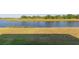 A home's backyard has a pond with grasses and trees at 13334 Palmera Vista Dr, Riverview, FL 33579