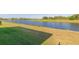 The yard has a calming pond with grasses and lush trees at 13334 Palmera Vista Dr, Riverview, FL 33579