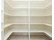 Walk-in pantry with white shelving, providing ample storage at 13334 Palmera Vista Dr, Riverview, FL 33579