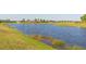Scenic view of the community pond with fountain and clubhouse in the distance at 13334 Palmera Vista Dr, Riverview, FL 33579