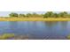 Panoramic view of the community pond showcasing its size and serene surroundings at 13334 Palmera Vista Dr, Riverview, FL 33579