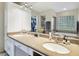 Bright bathroom with double sinks, vanity, tub, glass block window, and a walk-in closet at 1727 Woodpond Way, Lutz, FL 33559