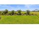 Beautifully landscaped backyard with lush grass and vibrant green plants at 27156 Capri Shores Cir, Englewood, FL 34223