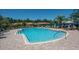 Community pool with lounge chairs and brick paver deck offers residents a relaxing outdoor space at 305 Bluewater Falls Ct, Apollo Beach, FL 33572