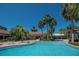 Beautiful outdoor pool area featuring clear blue water, palm trees, and a resort-style setting at 305 Bluewater Falls Ct, Apollo Beach, FL 33572