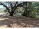 Expansive backyard featuring mature trees and a storage shed at 3409 N 10Th St, Tampa, FL 33605