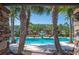 Picturesque view of the community pool with palm trees and a fountain, creating a serene and inviting atmosphere at 4405 Barletta Ct, Wesley Chapel, FL 33543