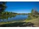 Scenic pond view with natural shoreline, lush vegetation, and blue skies, creating a serene atmosphere at 4405 Barletta Ct, Wesley Chapel, FL 33543