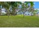 Expansive backyard featuring lush greenery, mature trees, and plenty of space for outdoor activities at 602 Stephens Rd, Ruskin, FL 33570