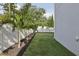 The backyard of this home has a grass lawn with a white fence and palm trees at 714 S Lois Ave, Tampa, FL 33609