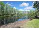 Picturesque view of pond from the back of the house at 12155 Environmental Dr # 3, New Port Richey, FL 34654