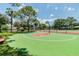 Outdoor basketball court with well-maintained green and red surface for recreational activities at 130 Sabal Ct # C, Oldsmar, FL 34677
