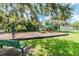 Community playground with slides and climbing structure set on a green lawn at 130 Sabal Ct # C, Oldsmar, FL 34677