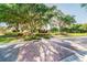 Beautifully landscaped street with lush greenery and brick-paved roads at 14705 Canopy Dr, Tampa, FL 33626