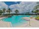 Resort-style pool area surrounded by palm trees and lounge chairs at 14705 Canopy Dr, Tampa, FL 33626