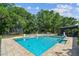 Inviting backyard pool area, complete with lush landscaping and a trampoline at 17605 Simmons Rd, Lutz, FL 33548