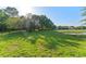 A view of a well-maintained backyard and pond at 20146 Heritage Point Dr, Tampa, FL 33647