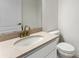 Modern bathroom with a stone countertop and a bronze faucet fixture at 20146 Heritage Point Dr, Tampa, FL 33647
