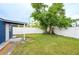 Spacious backyard with lush lawn and mature trees, enclosed by a white fence, creating a private outdoor oasis at 2017 Oceanview Pl, Tampa, FL 33605