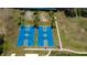 Aerial shot of two blue basketball courts in a green recreational area with palm trees offering shade at 3009 Sheehan Dr, Land O Lakes, FL 34638